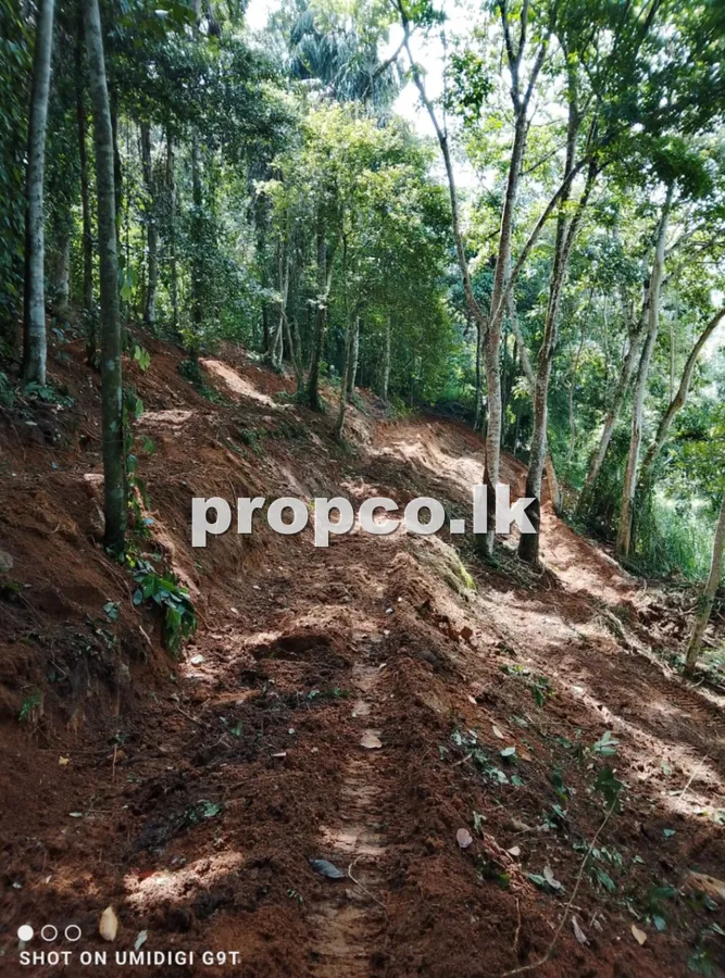 76 Perches Bare Land for Sale in Morontota