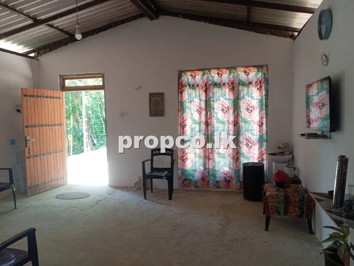 36.5 Perches Houses for Sale in Pilimatalawa