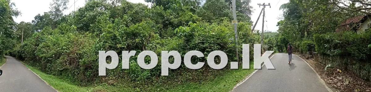 125 perchs Land for Sale in Uduwaka, mitipola