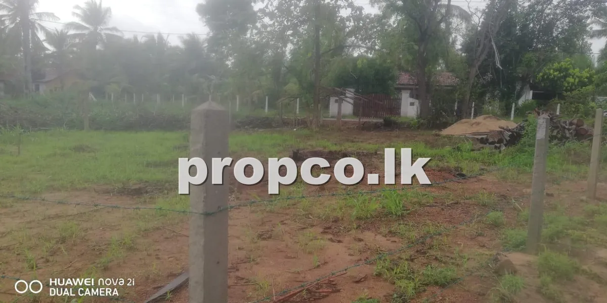 15 Perches Bare Land for Sale in Anamaduwa