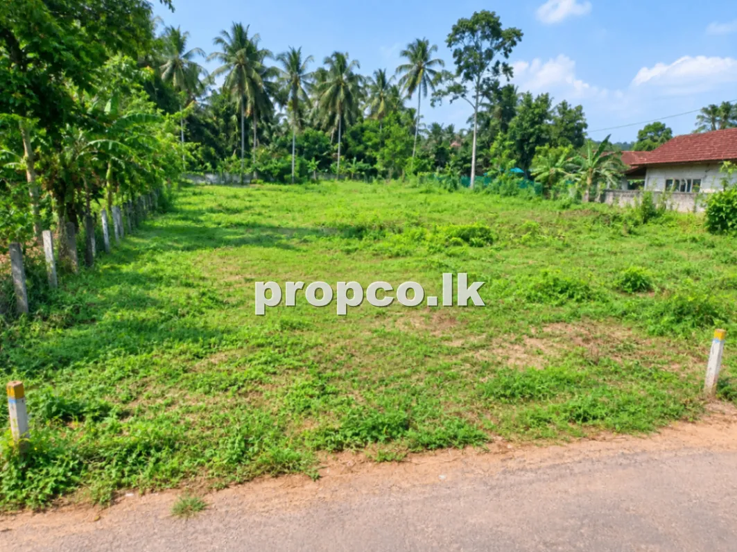12.34 Perches Bare Land for Sale in Matara
