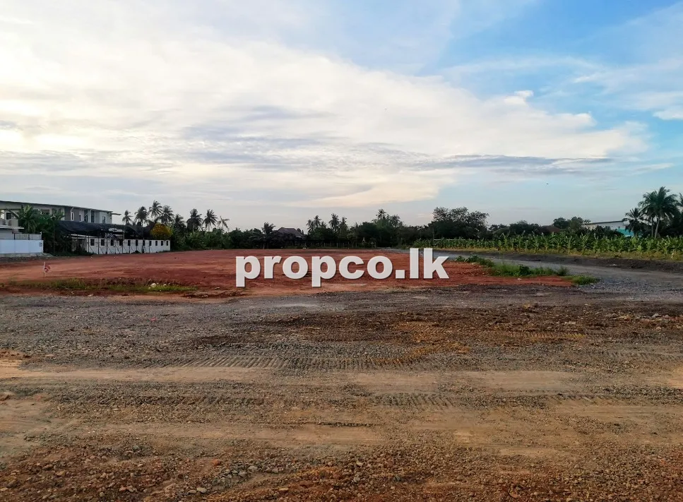 21.6 Perches Bare Land for Sale in Thelijjawila
