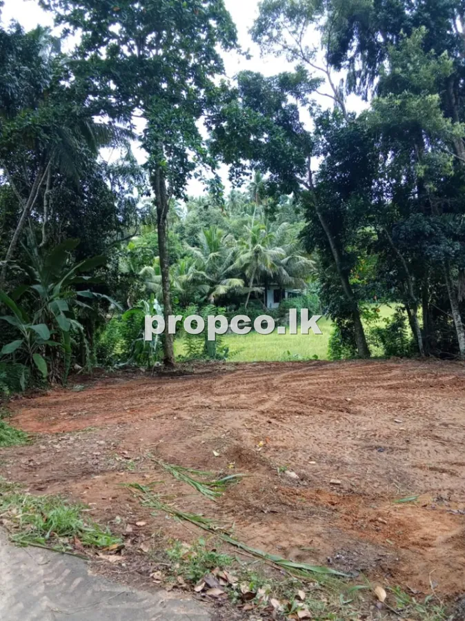 25 Perches Bare Land for Sale in Kokawala