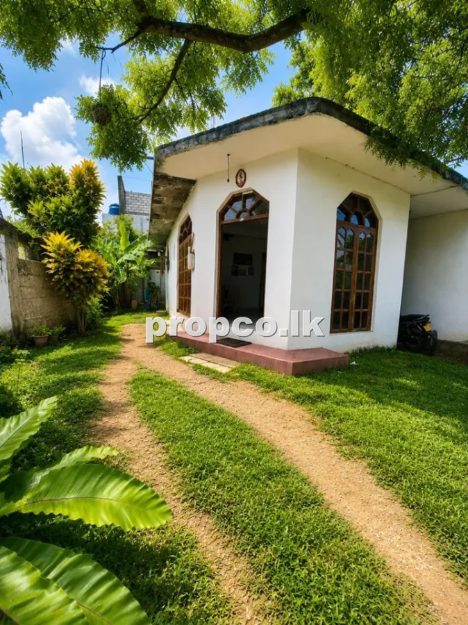 6.3 Perches Houses for Sale in Wattala