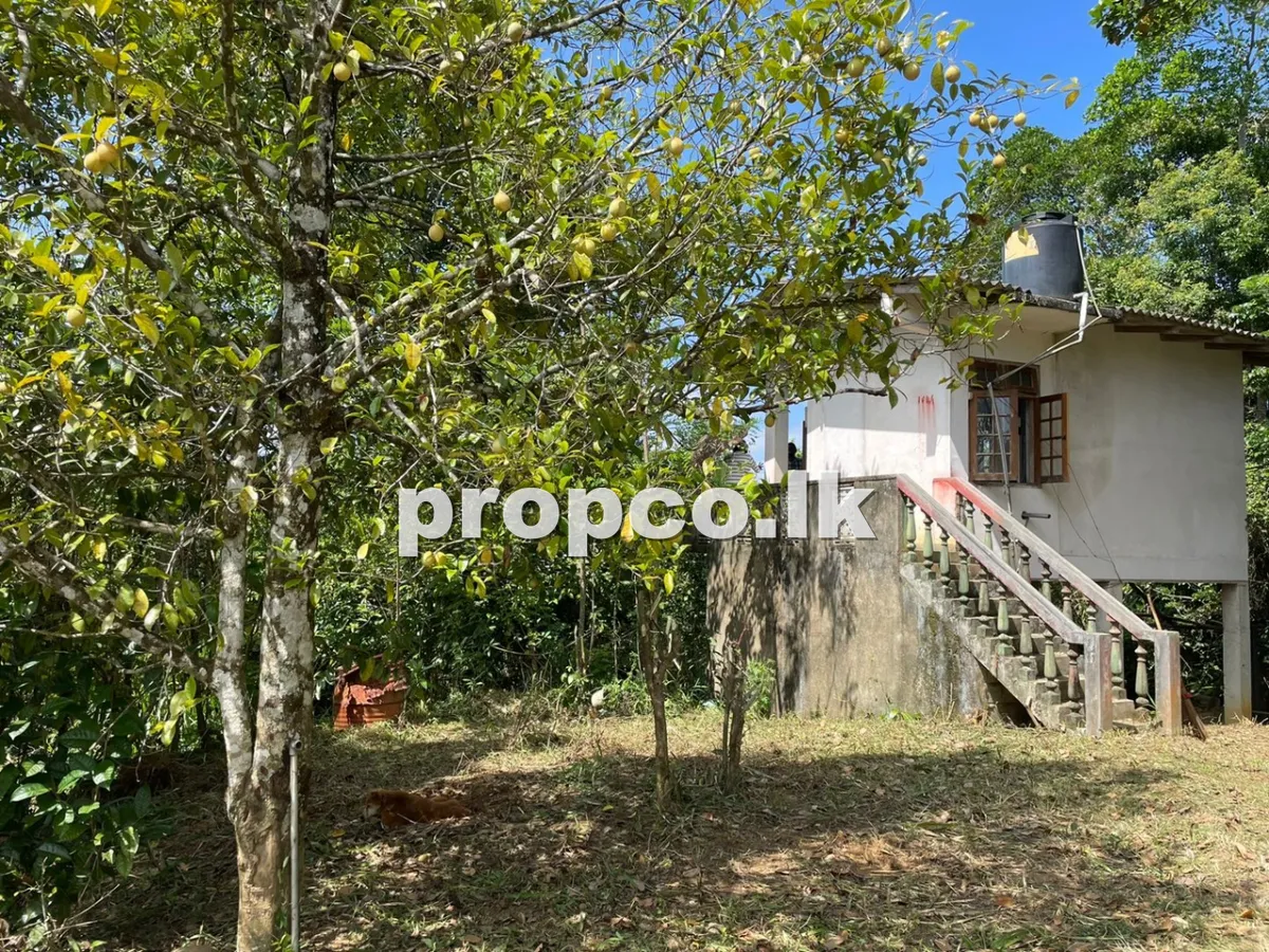 අක්කර 5 ක මහනුවර ප්රදේශයෙන් විකිණීමට ඇති ඉඩම