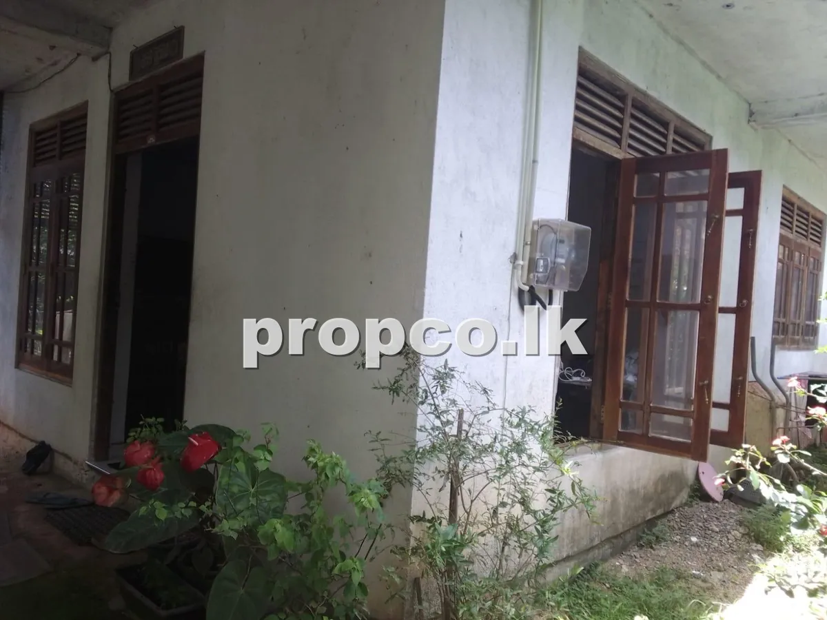 6 Perches Houses for Sale in Paburana