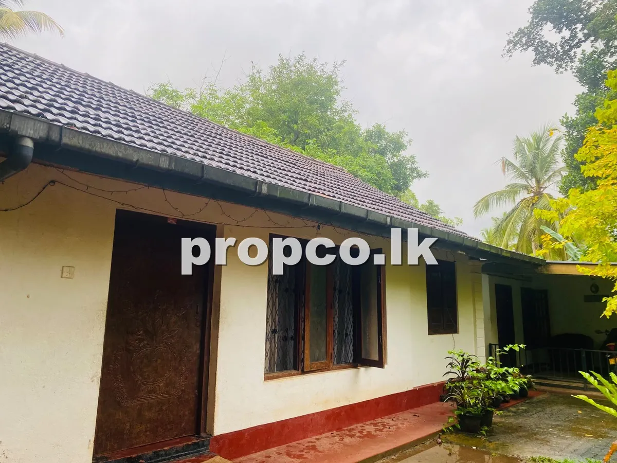 15 Perches Houses for Sale in Akmeemana