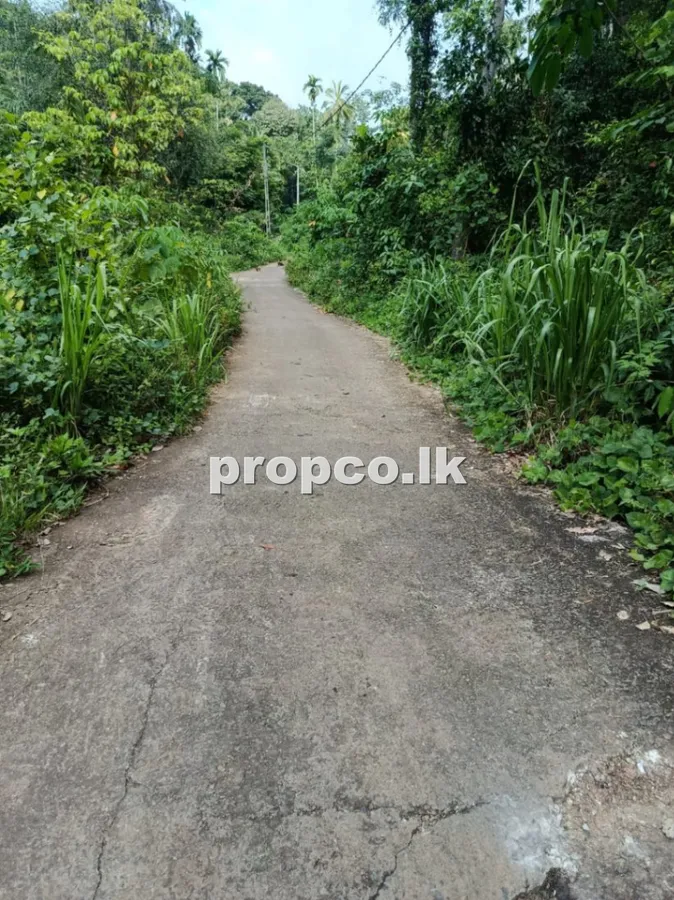 80 Perches Bare Land for Sale in Kirindiwela