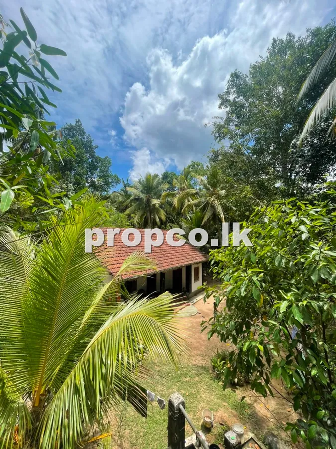 🏡 House & Land for Sale in Habaraduwa