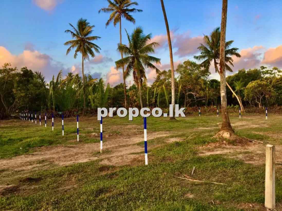 50 Perches Commercial Land for Sale in Weligama