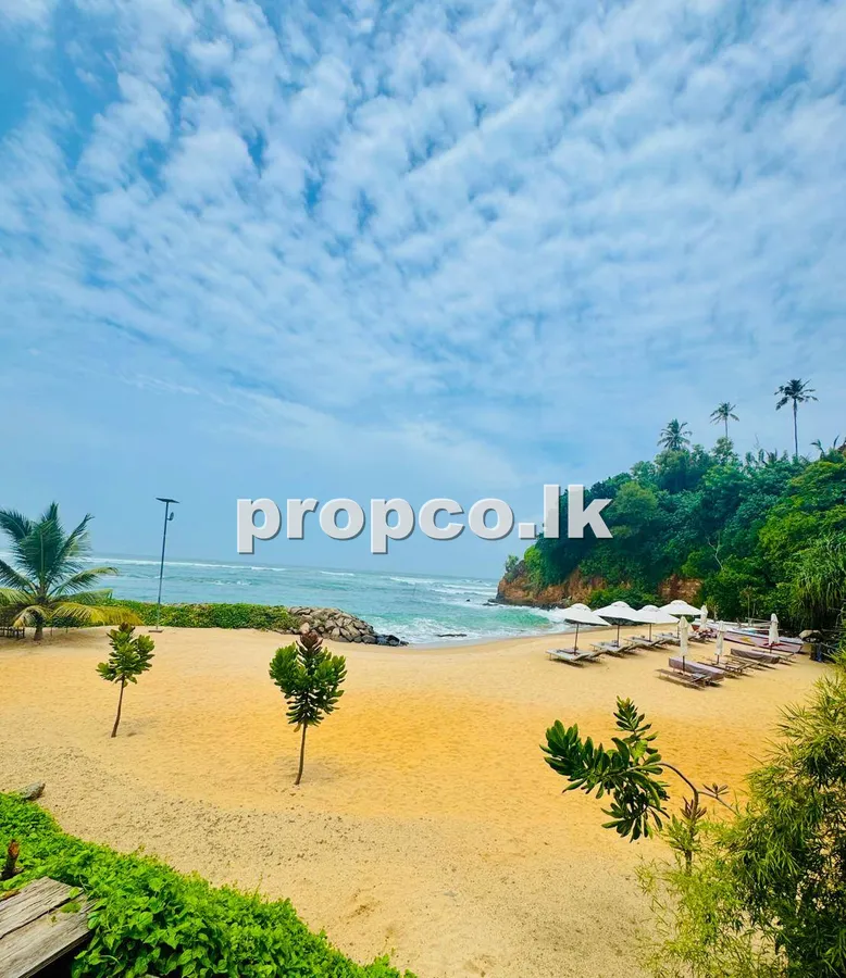 50 Perches Bare Land for Sale in Weligama