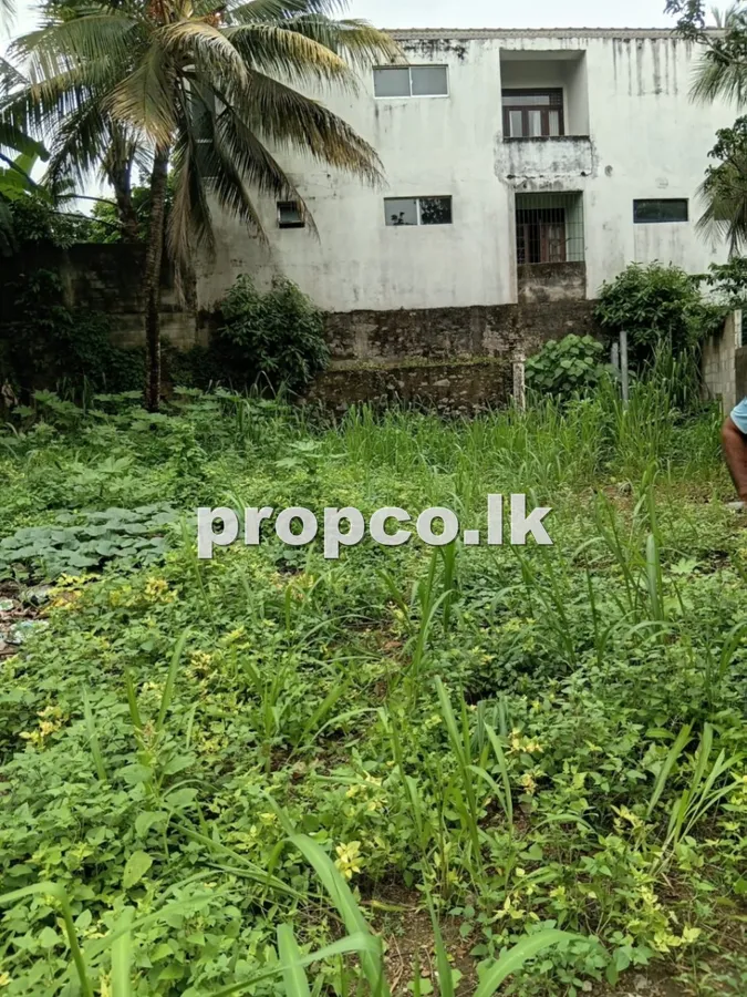 පර්චස් 11.25 ක පන්නිපිටිය ප්රදේශයෙන් විකිණීමට ඇති ඉඩම
