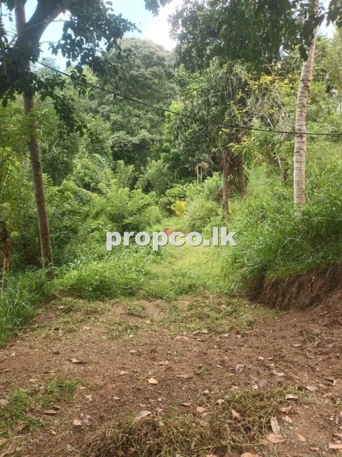 අක්කර 5 ක උඩුතලවින්න ප්රදේශයෙන් විකිණීමට ඇති ඉඩම