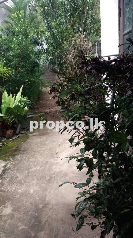 8.5 Perches Houses for Sale in Piliyandala