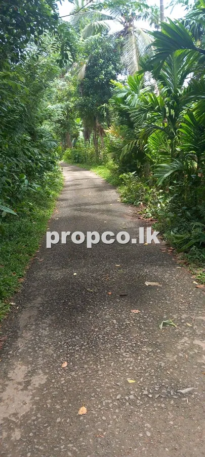 19.5 Perches Bare Land for Sale in Pugoda