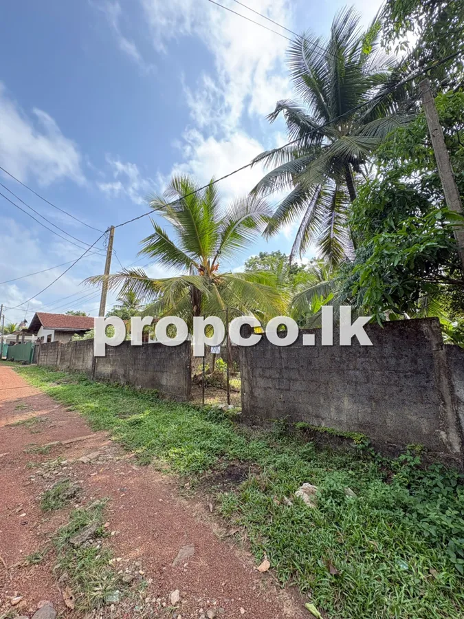 15 Perches Cultivation Land for Sale in Panadura
