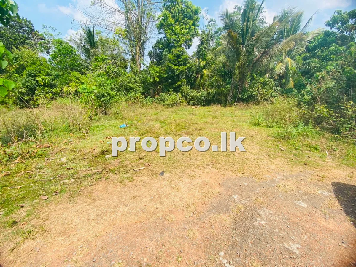 Bare Lands Land for Sale in Kubuka
