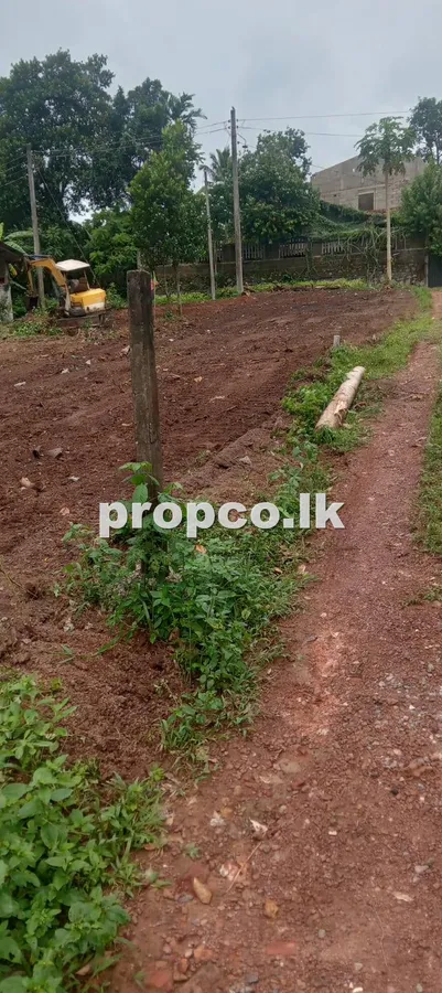 26 Perches Bare Land for Sale in Ganemulla