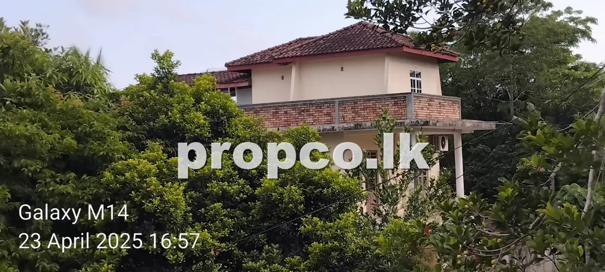 පර්චස් 23 ක පයාගල ප්රදේශයෙන් කුලියට දීමට හෝටල් සහ විලා
