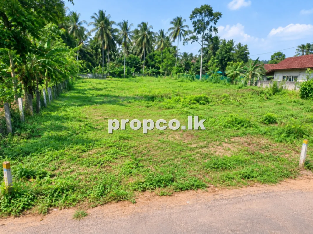 පර්චස් 14 ක පන්නිපිටිය ප්රදේශයෙන් විකිණීමට ඇති ඉඩම
