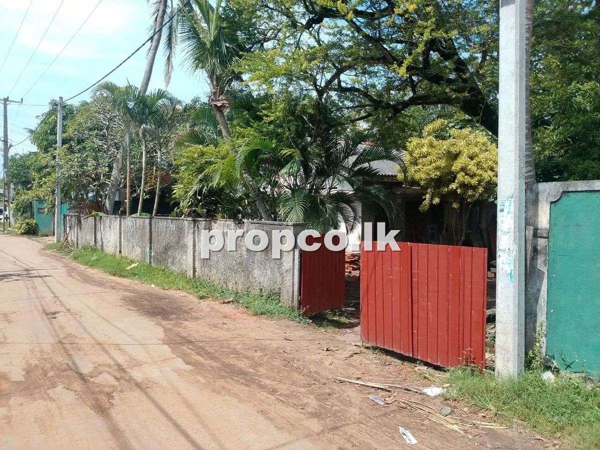 23 Perches Houses for Sale in Moratuwa