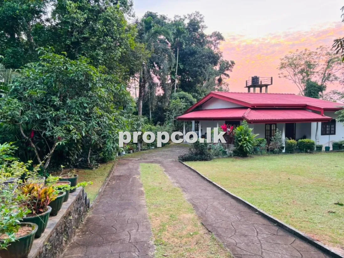 24 Perches Houses for Sale in Meegoda