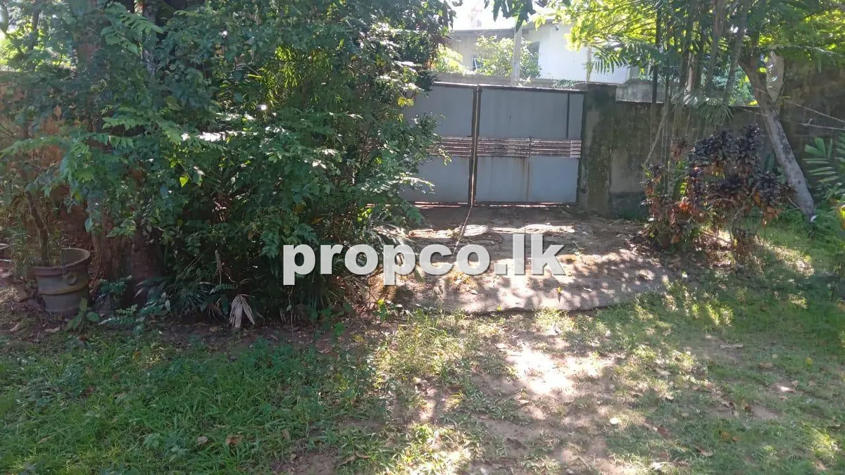 13.6 Perches Land for Sale in Walapola