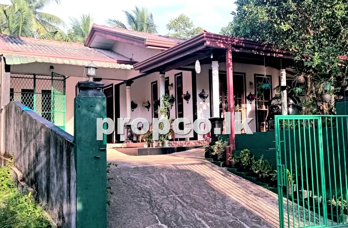 28 Perches Houses for Sale in Horana
