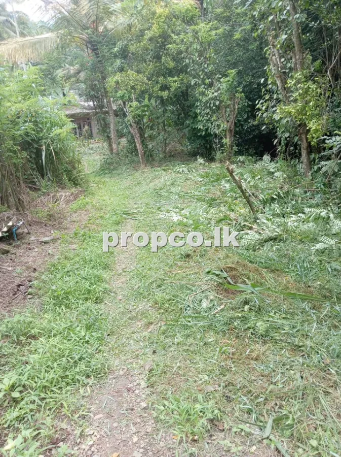 30 Perches Bare Land for Sale in Pilimatalawa