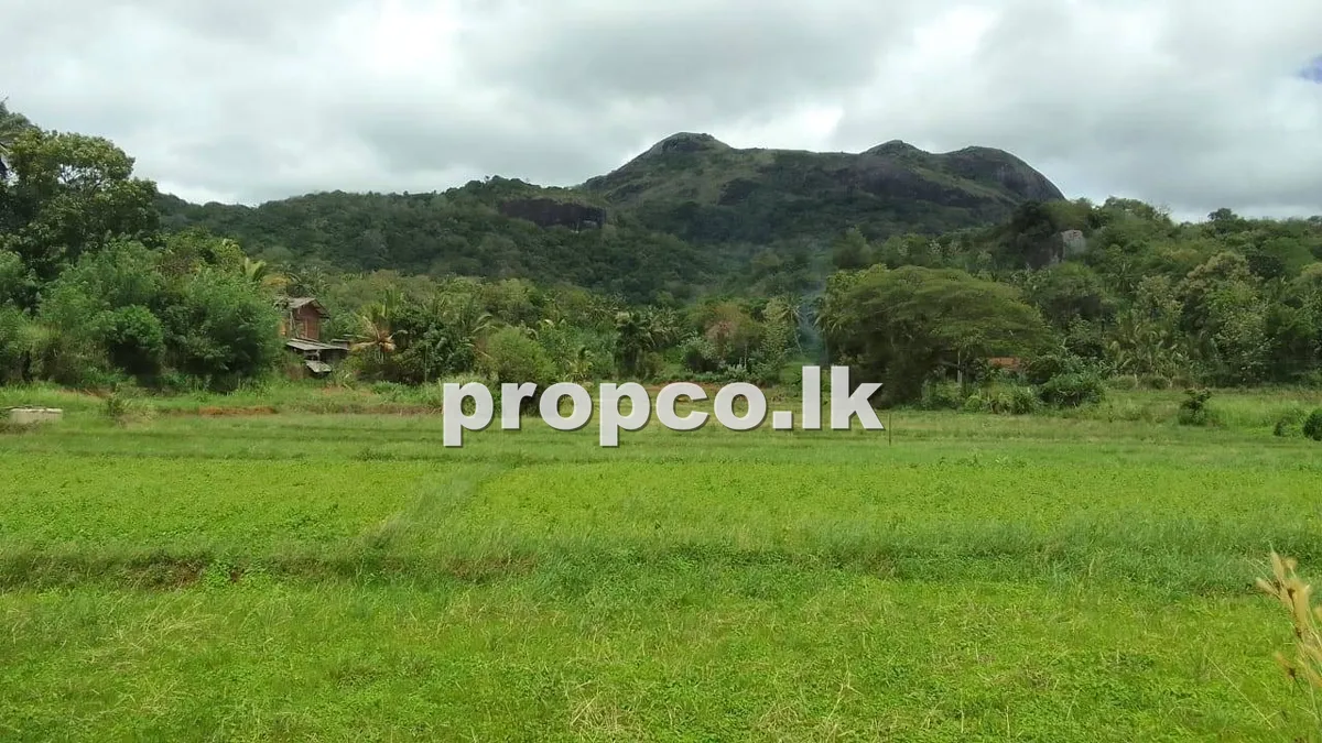 Houses for Sale in Nalanda
