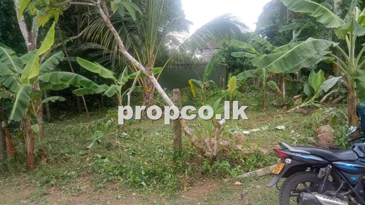 10 Perches Bare Land for Sale in Kahathuduwa