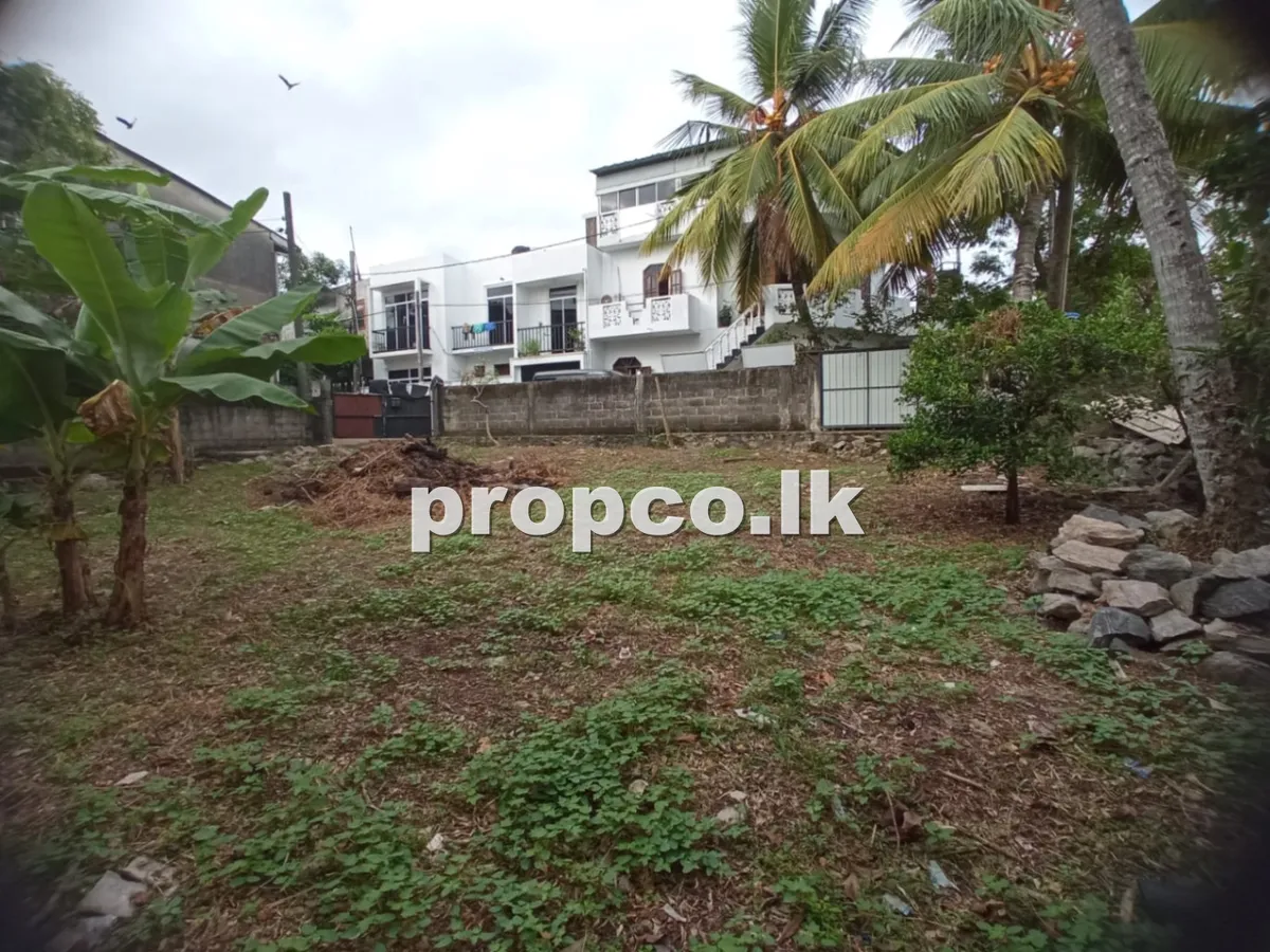 9 Perches Bare Land for Sale in Dehiwala