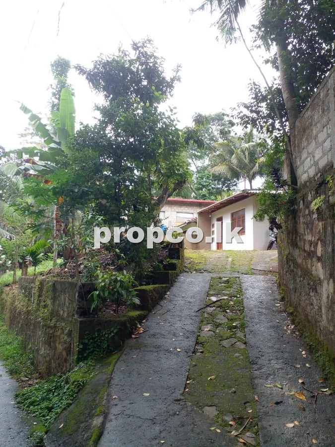 16.5 Perches Houses for Sale in Amunugama