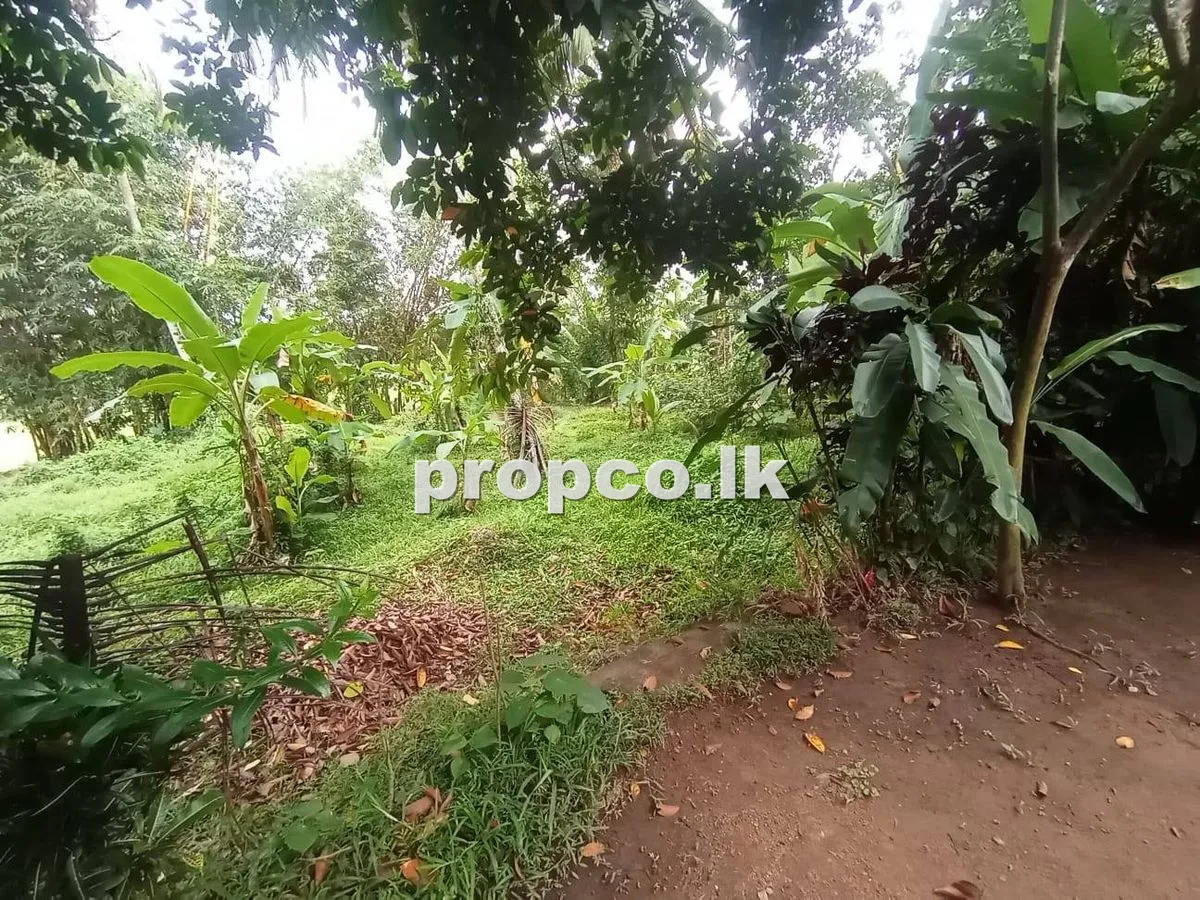 42 Perches Houses for Sale in Veyangoda