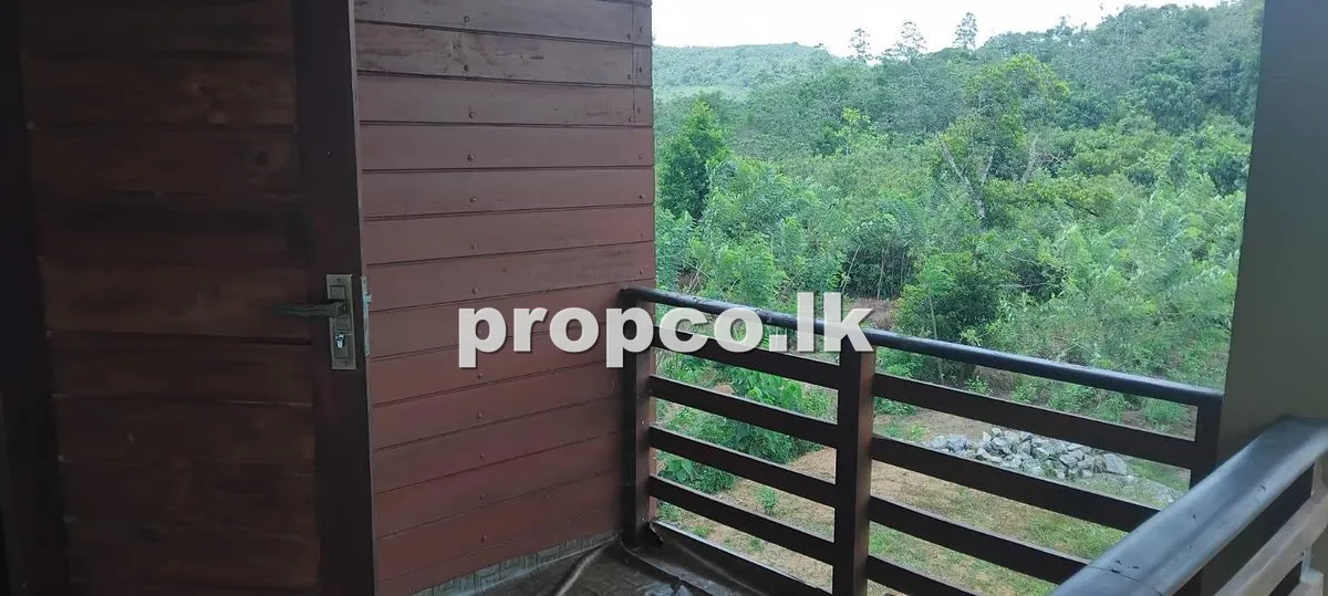 115 Perches Bare Land for Sale in Horana