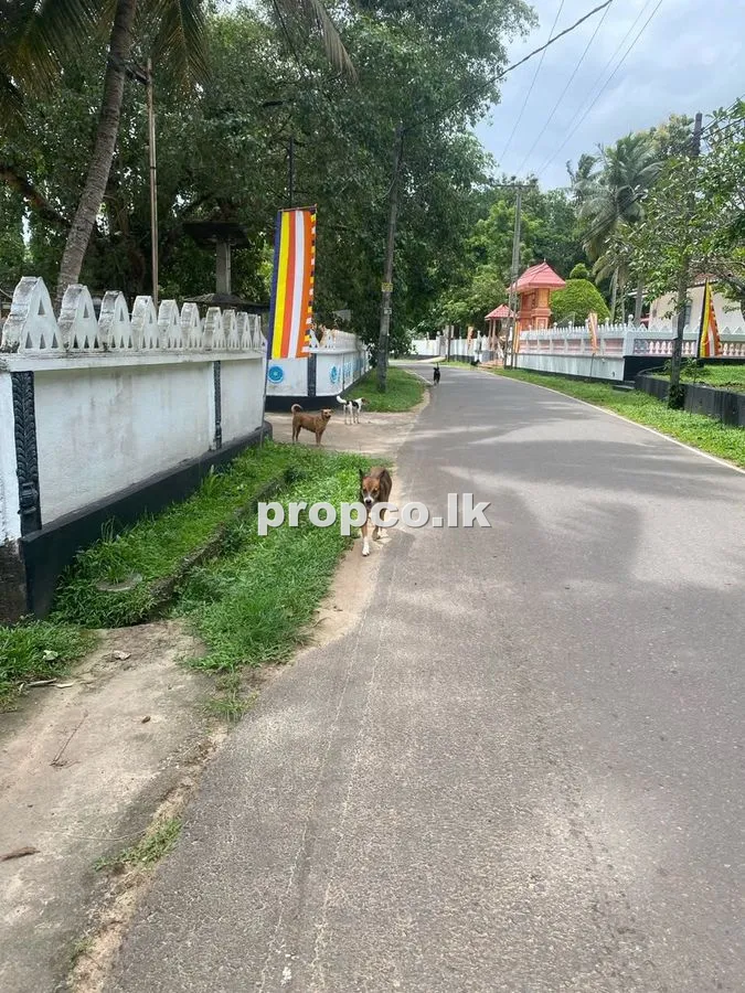 11 Perches Bare Land for Sale in Bandaragama