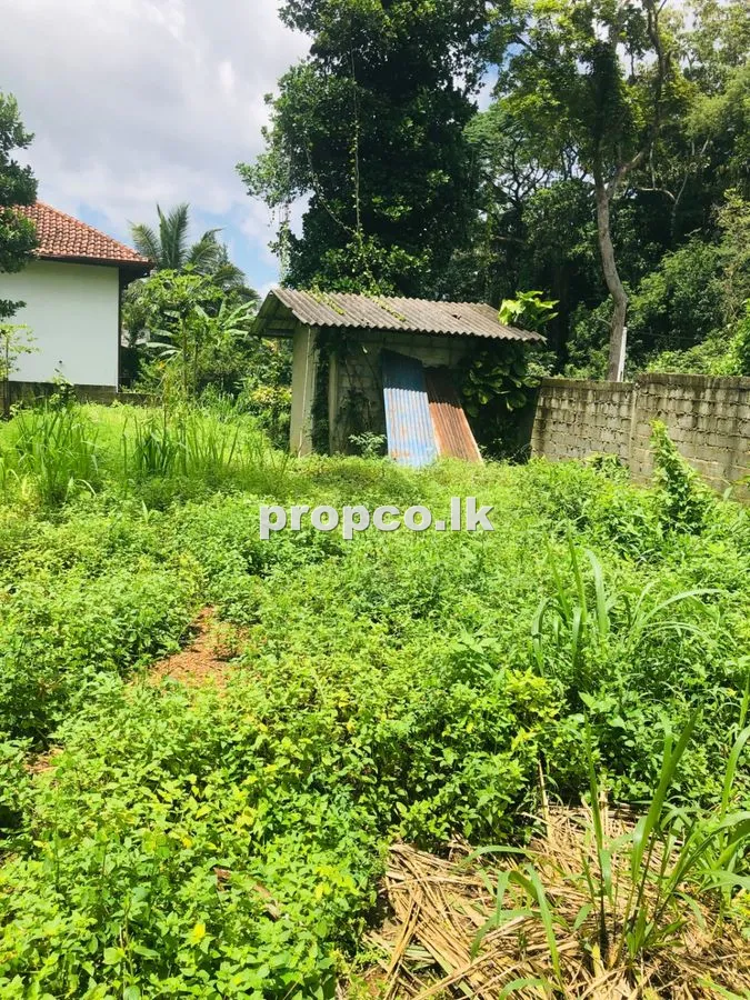 7 Perches Bare Land for Sale in Pannipitiya