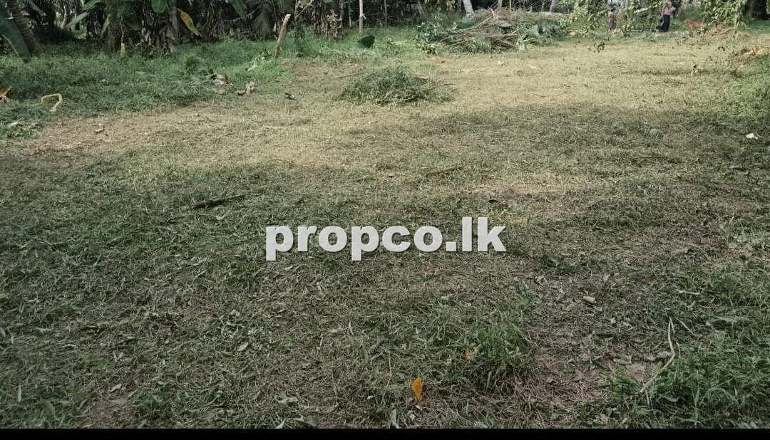 10 Perches Bare Land for Sale in Piliyandala