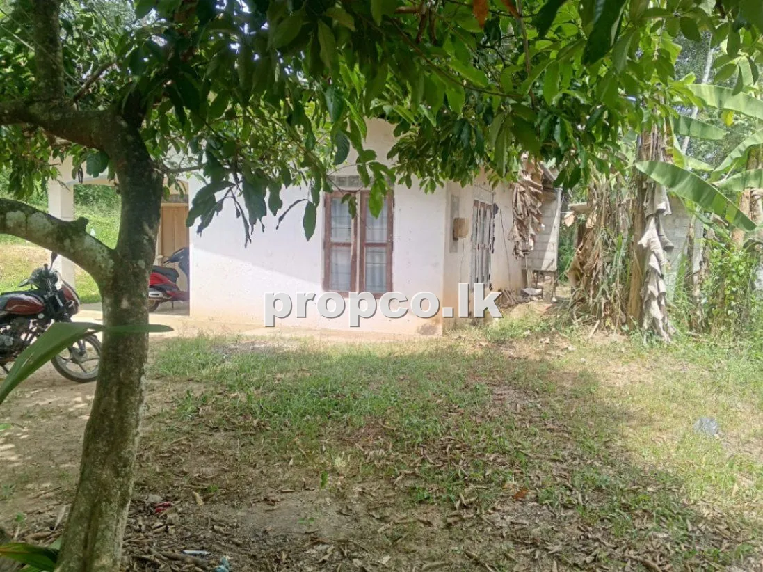 20 Perches Houses for Sale in Kirindiwela