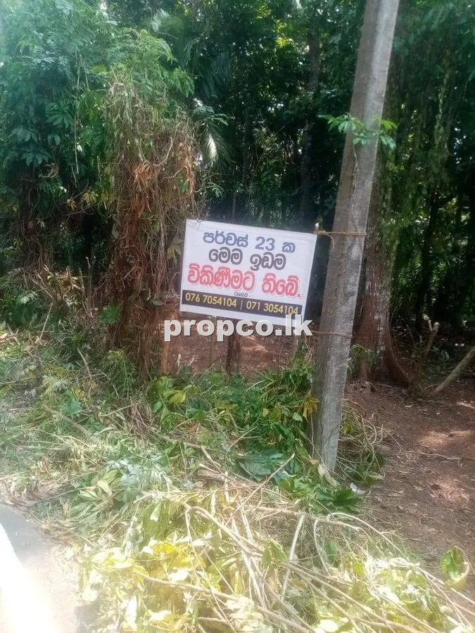 23 Perches Bare Land for Sale in Weligepola