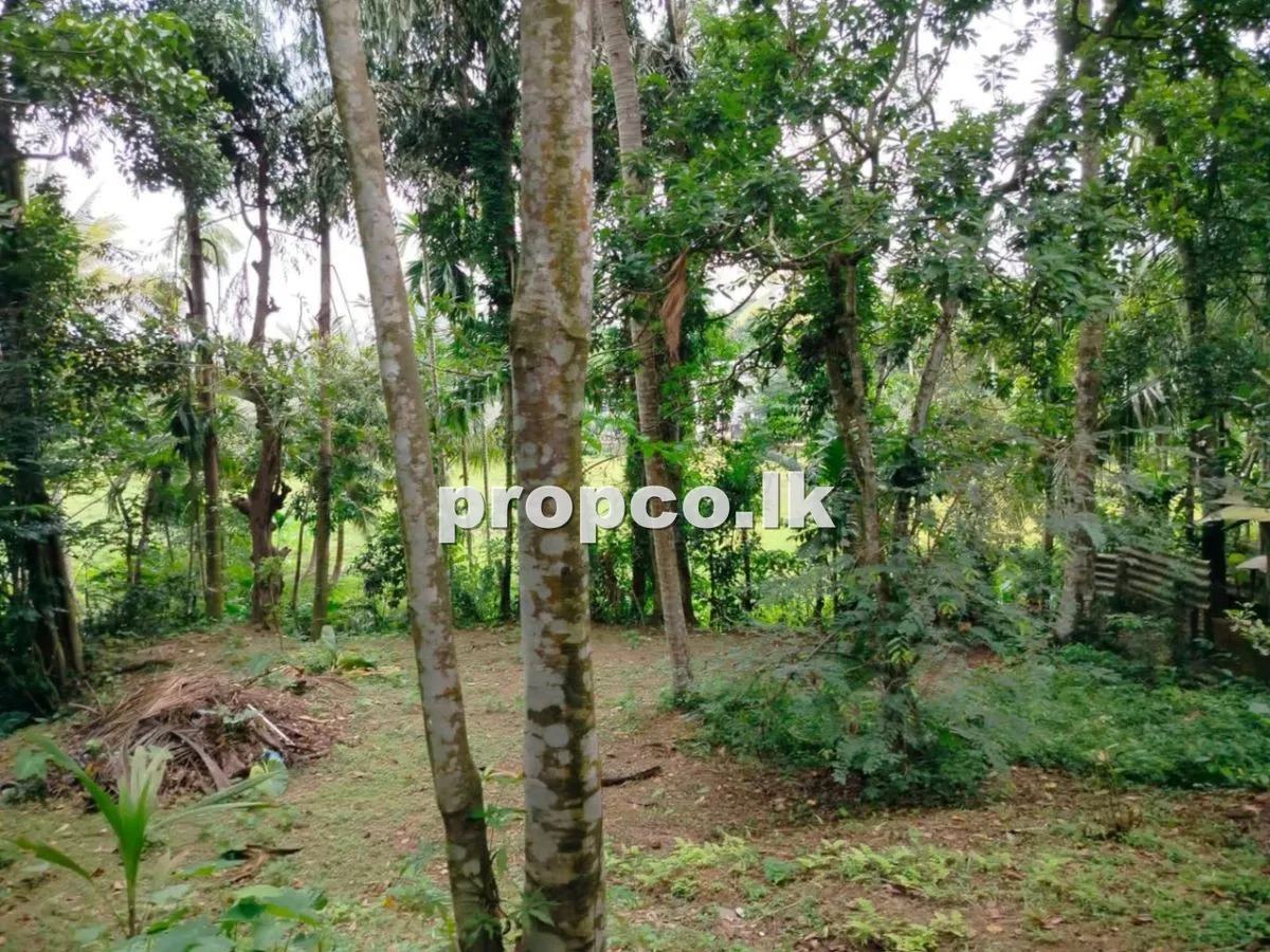 20 Perches Bare Land for Sale in Kiwaththuduwa