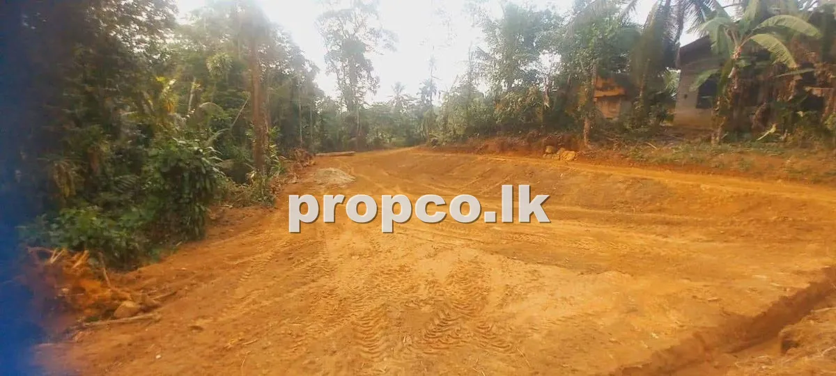 35.6 Perches Bare Land for Sale in Elpitiya