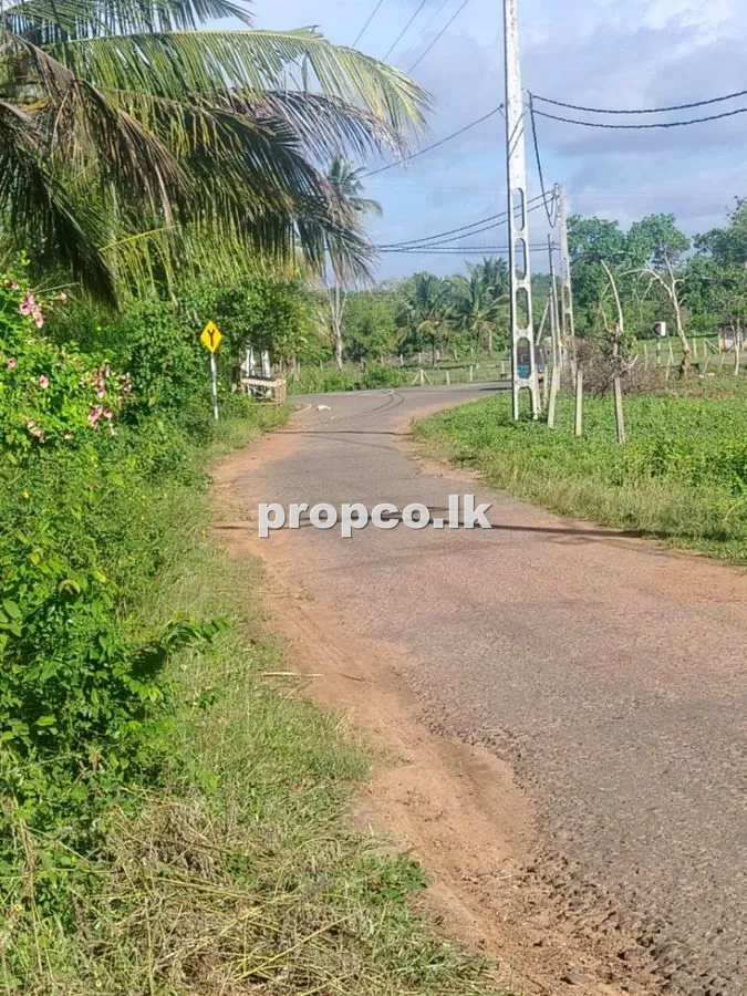 50 Perches Bare Land for Sale in Ranna