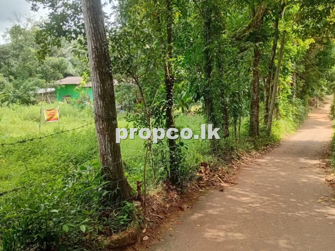 30 Perches Bare Land for Sale in Higurala