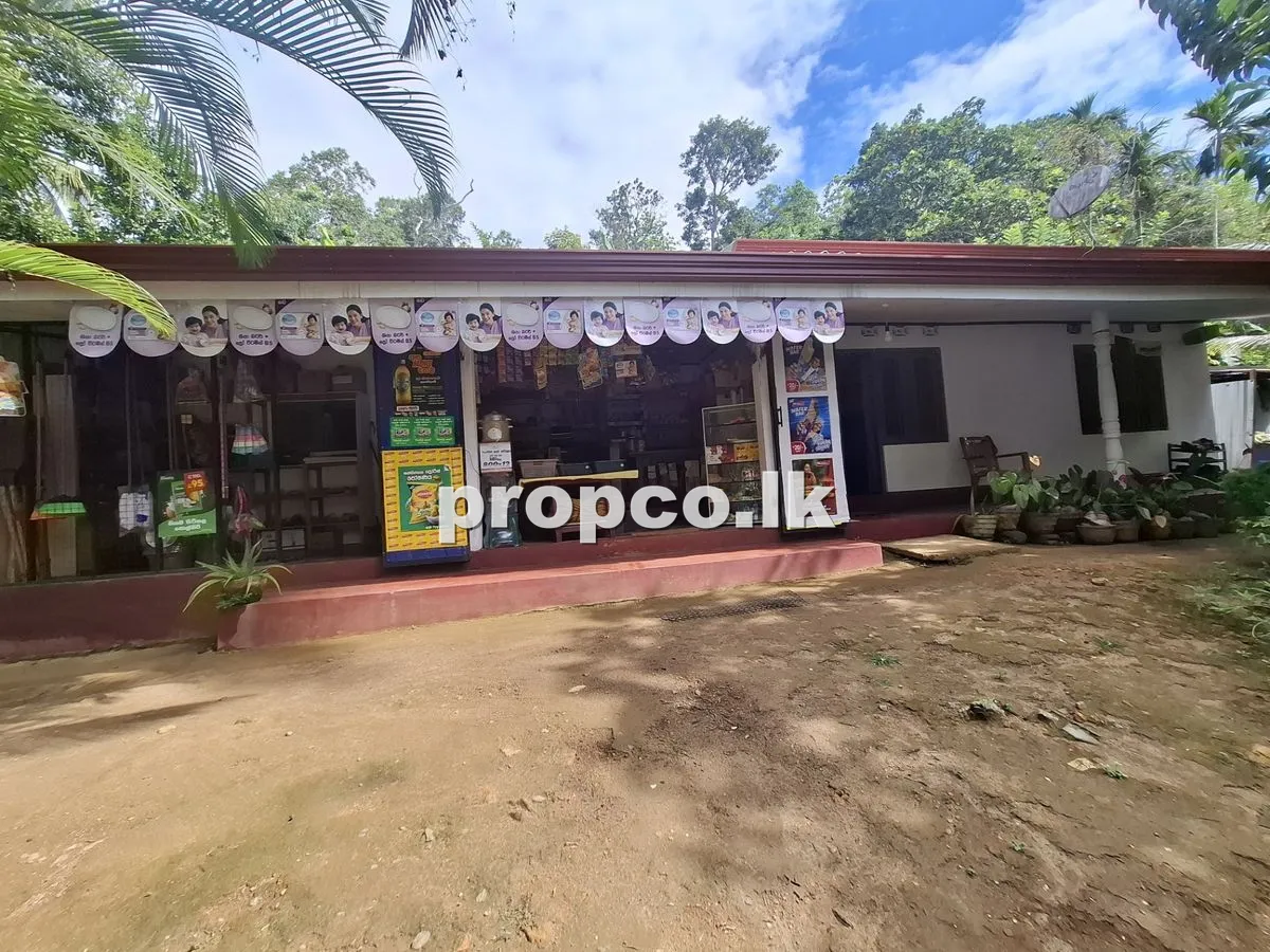40 Perches Houses for Sale in Balangoda