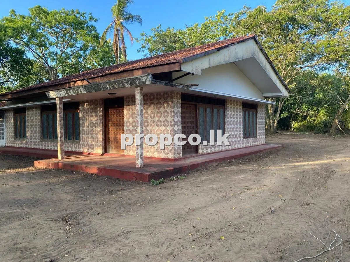 64 Perches Houses for Sale in Tangalla