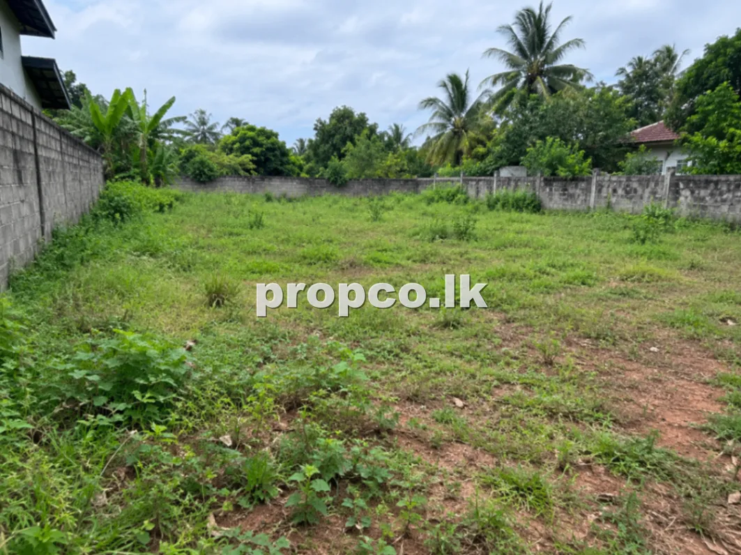 16.5 Perches Bare Land for Sale in Ella