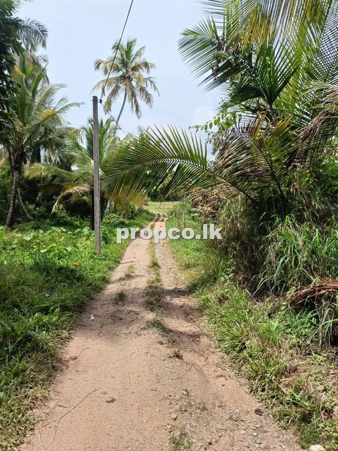 16 Perches Houses for Sale in Pothuhera