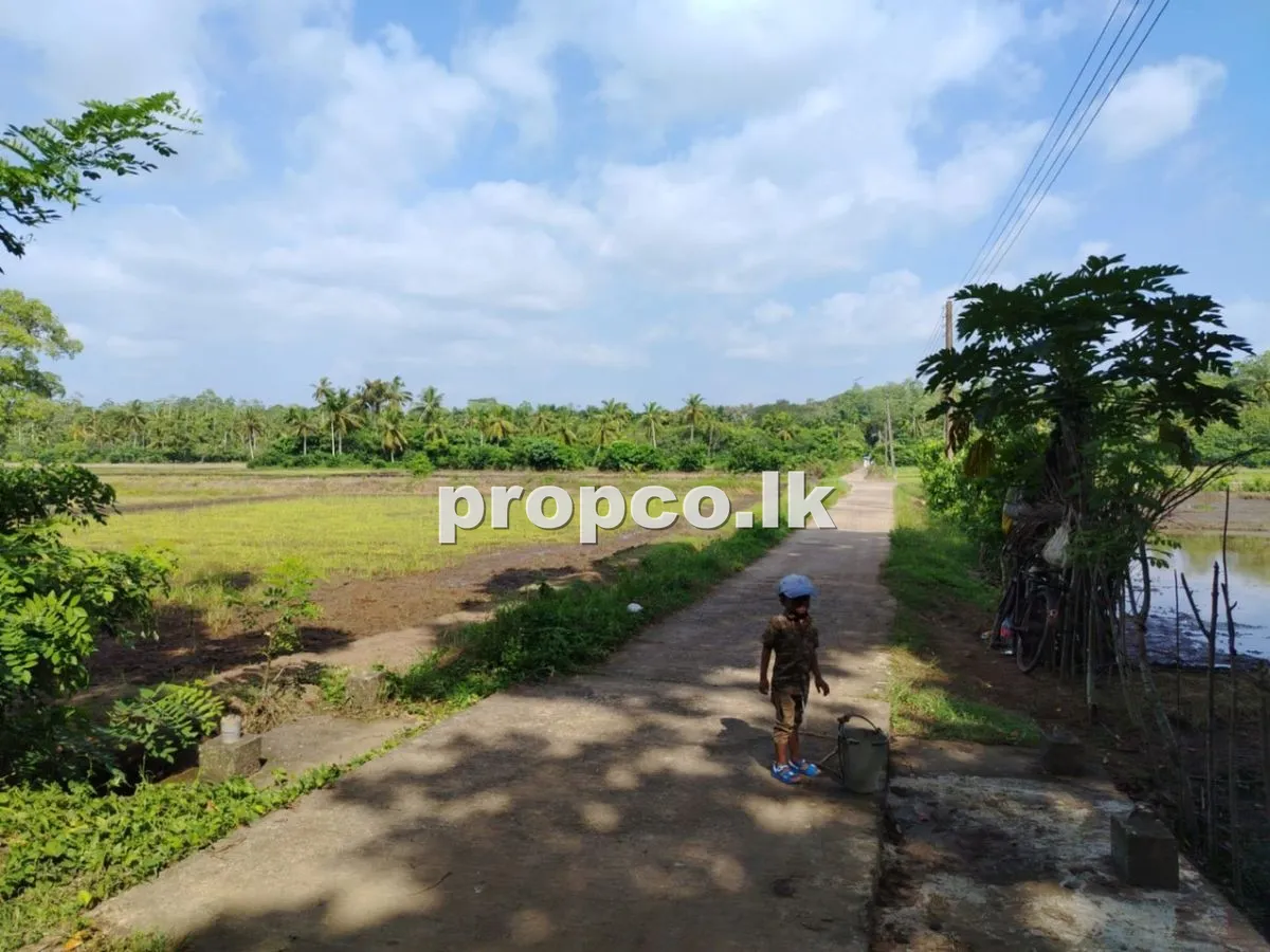 30 Perches Bare Land for Sale in Ahangama