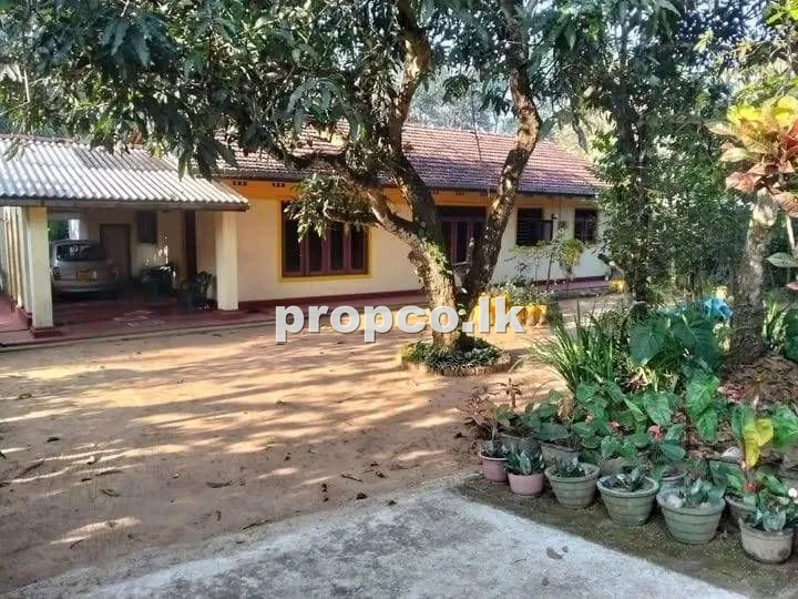 40 Perches Houses for Sale in Kurunegala